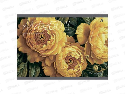 Альбом д/рис.12л  Alingar Акварельные цветы, AL10550/4 *60