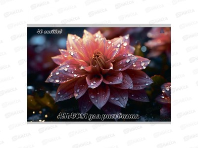 Альбом д/рис.40л Alingar Цветы  AL13158/2*36