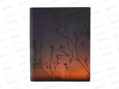 Тетрадь120л кл. Schoolformat Текстовый пейзаж. на кольцах, 267162 *24