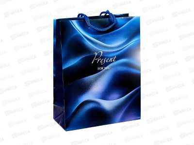 Пакет подарочный MI 18х23х8см Present, ППК-9293  *12