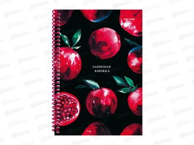 Записная книжка ПП А5 80л Яркие гранаты, греб., 80-3776