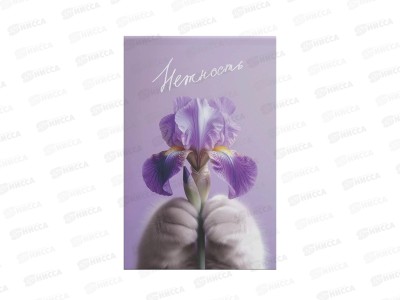 Блокнот 40л ЭКСМ А5  Cat&Flowers1 БСК540470  *40