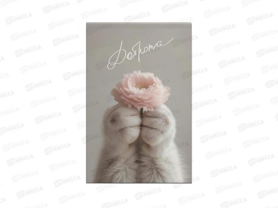 Блокнот 40л ЭКСМ А5  Cat&Flowers2 БСК540471  *40