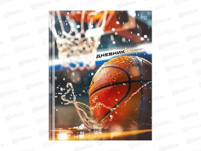 Дневник BG Баскетбольная эстетика 1-11кл. тв.обл.мат. ламин. 64675 *30