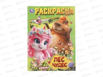 Раскраска &quotУМКА&quot 11460-4, Лес чудес, 214х290мм 16стр.*50