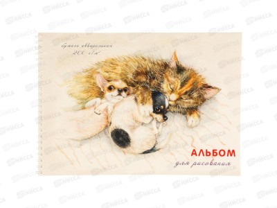Альбом д/рис.20л ПЛН Спящие дружочки, гребень, 2914
