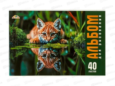 Альбом д/рис.40л Апплика, Дикий котенок, С0220-70 *30