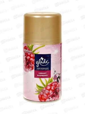 ГЛЭЙД автом.осв.возд.269мл з/б LTO Vibrant Raspberry *6
