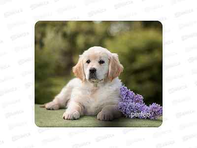 Коврик для мыши Perfeo "Dog", (240*200*2мм), ткань+резина, ассорти