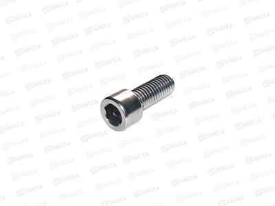 Винт DIN 912 внутренний шестигранник (8.8), цинк М 8х20  4шт SR