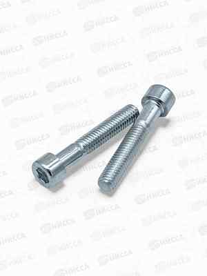 Винт DIN 912 внутренний шестигранник (8.8), цинк М 8х50  2шт SR