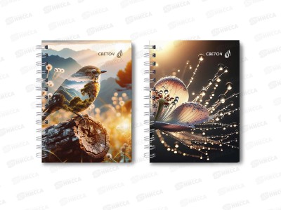 Записная книжка &quotСветоч&quot А6 120л Сквозь просторы, клетка, греб., 01589