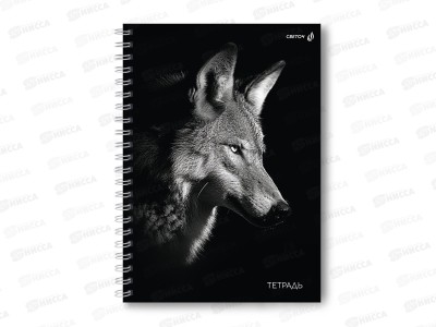Тетрадь 80л клетка SVETOCH А4 Волк, гребень, 01572  *2