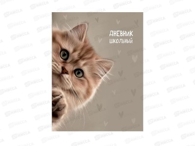 Дневник ПП Забавный котик - 4, универсальный, 40л, Д40-9514