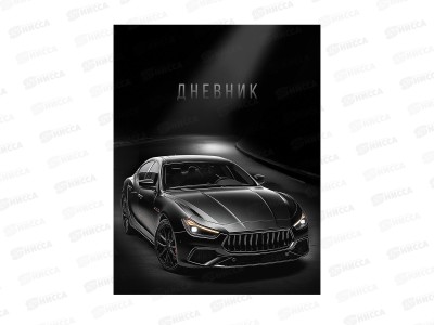 Дневник ПП Черный автомобиль - 13, универсальный, 40л, Д40-9515