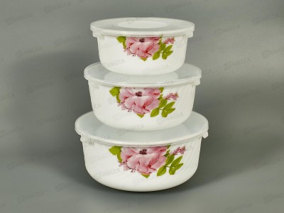 Набор салатников Нежность 550, 880, 1450мл с крышками 202596 *12