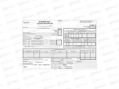 Путевой лист OfficeSpase гр/авт. б/талона А4 100л газет. 252456  *10
