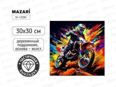 Алмазная мозаика MAZARI Мотоциклист 30х30см подрамник, M-12395 *10