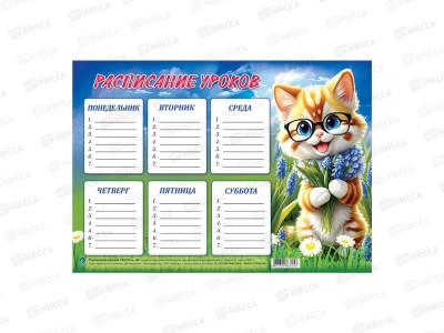 Расписание уроков ПГС 20*29 Котята *20