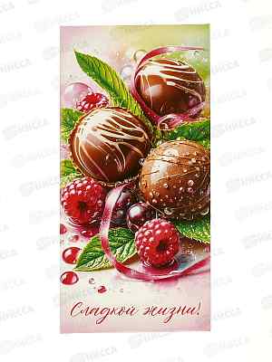 Конверт д/денег ПГС 16,5*8см Сладкой жизни *10