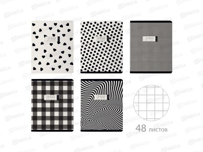 Тетрадь 48л кл. B.V. Black&WHITE 5в,7-48-1210*60