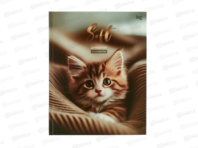 Дневник BG Мягкий 1-4., тв.обл.,матовая ламинация 64740 *30