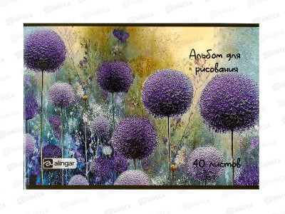 Альбом д/рис.40л  Alingar &quotЦветы красками&quot mix, AL13646 *40