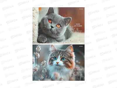 Альбом для рисования 48л ПП Взгляд котёнка, 2диз., А48-8353