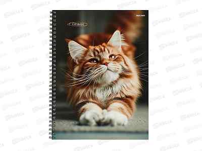 Тетрадь 96л кл. ПП А4 Рыжий котик - 2, гребень 96-8969  *30