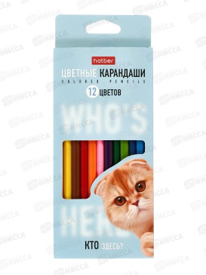 Карандаши 12цв Hatber Кто здесь? трехгран к/к 094109  *12/240