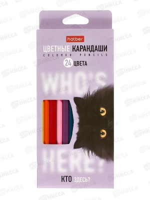 Карандаши 24цв Hatber Кто здесь? трехгран к/к 094111  *6/120