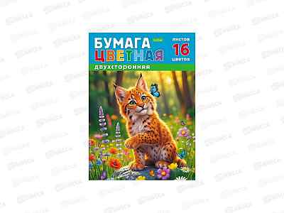 Цветная бум.  16л 16цв Hatber Рысенок мелов. 336117 *50