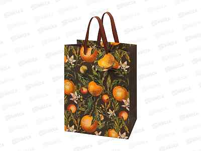 Пакет подар. B.V.  Flora.Райские апельсины 26*32,4*13см 2-852/15