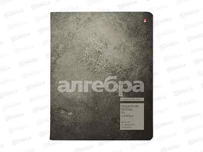 Тетрадь 48л кл. АЛЬТ STONE COLOR Алгебра 7-48-1358/09*20/60