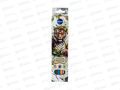 Карандаши  6цв CENTRUM Tiger 80480 *24