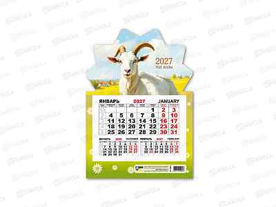 Календарь моно на магните 2027 КП Символ года, 9969