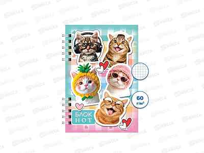 Блокнот120л ПГС NB Котомемы, А6 *6