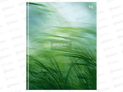 Дневник BG Луг 1-11кл (лайт) 48л матовая ламин. 62239 *12