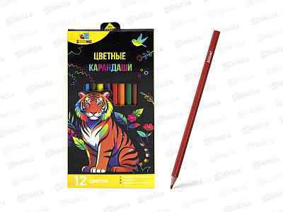 Карандаши 12цв ZOOMI Тигр  ZM522*12