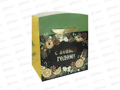 Пакет подарочный-коробка MI 22,5*20*13,5 Аромат зимы,ППК-2999