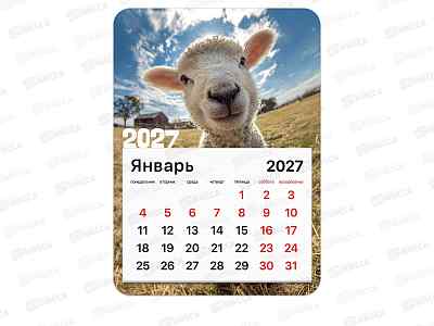 Календарь отрыв.на магн. 2027 BRAUBERG Символ года 130*180мм 118484 *1