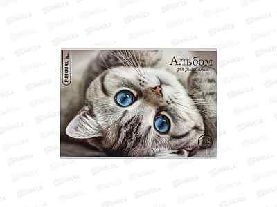Альбом для рисования 12л Funguru &quotLovely kitten&quot, D-608B-4108-4 *12/120