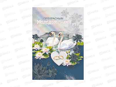 Открытка ГК гигант Прекрасным молодоженам, 048.683  *10