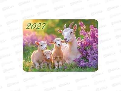 Календарь карманный 2027 ЛиС Символ года,  КГ-27-099 *20
