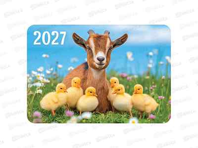 Календарь карманный 2027 ЛиС Символ года,  КГ-27-184 *20