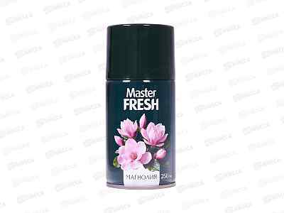 Master FRESH осв воздуха смен Магнолия 250мл *12 С0008722