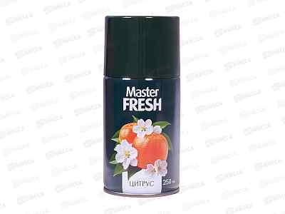 Master FRESH осв воздуха смен Цитрус 250мл *12 С0008723