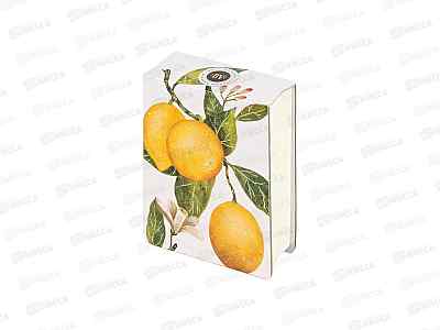 Блок д/записей АЛЬТ Райские лимоны, А7,250л,3-558/07*12