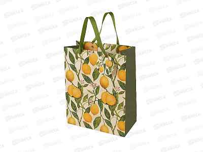 Пакет подар. B.V.  Flora.Райские лимоны 26*32,4*13см 2-852/09