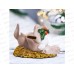 Копилка  &quotЗаяц с морковкой&quot серый 10*11см 7820323